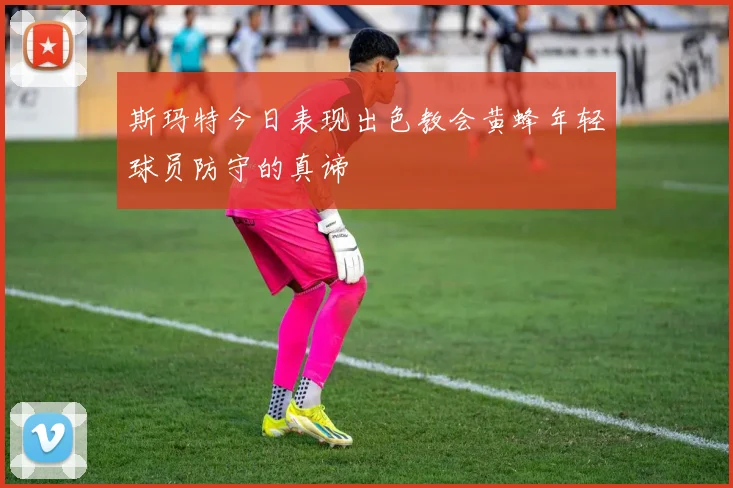 斯玛特今日表现出色教会黄蜂年轻球员防守的真谛